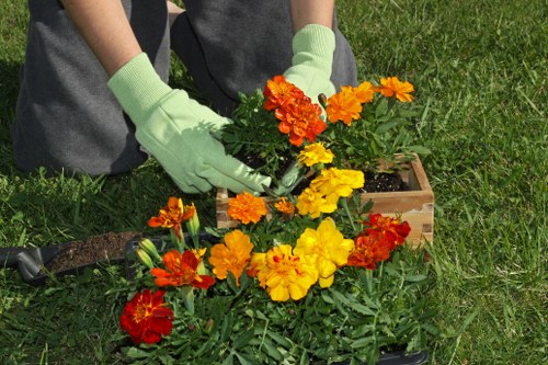 Variety of popular flowers available for delivery