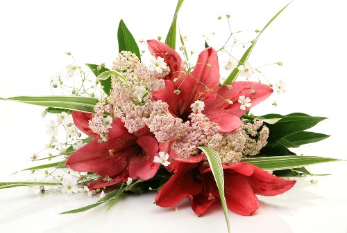 Elegant flower subscription service for birthdays