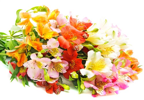 Celebratory birthday flowers arrangement