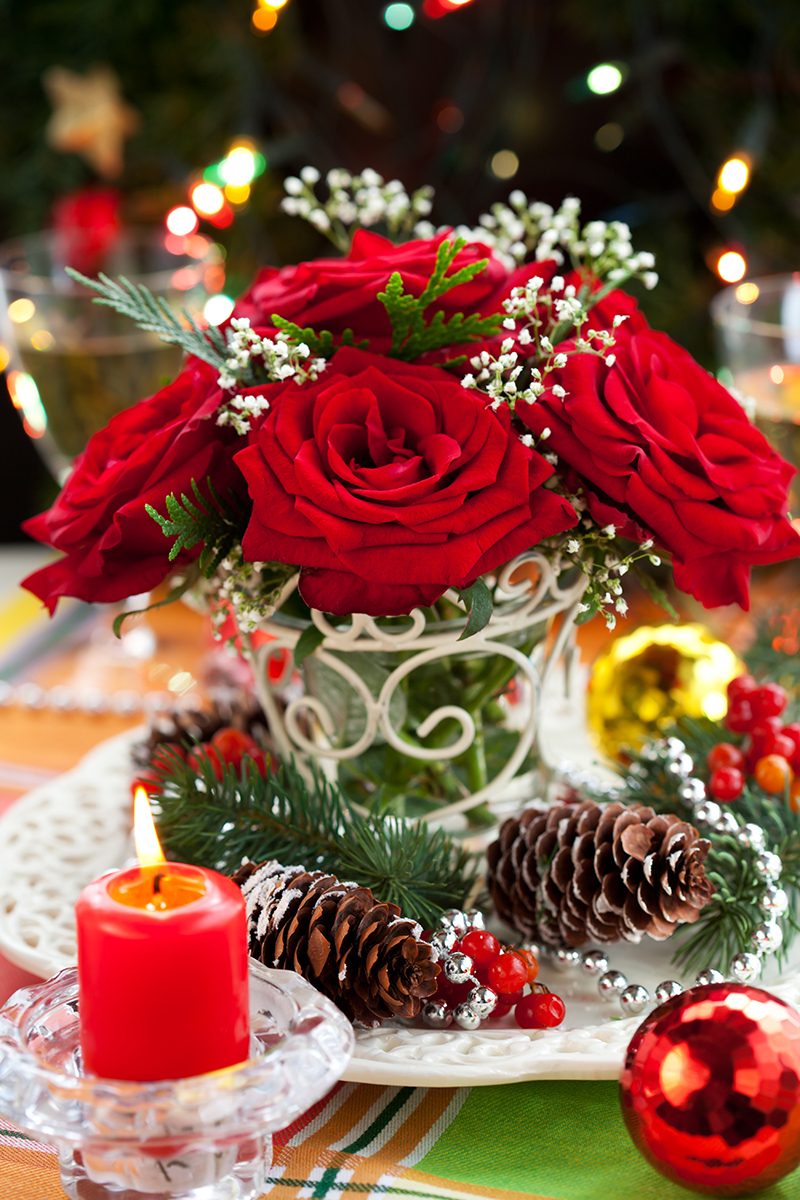 Flowers flowers  / cheerful flowers