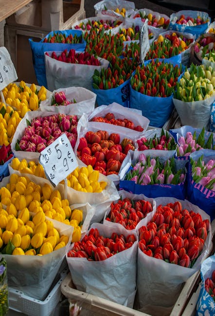 Flower Prices: London vs Manchester -- Where to Save
